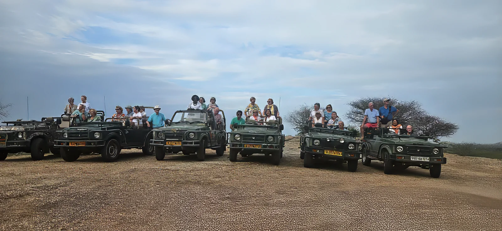 Leopard Safari